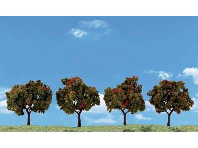 2 - 3 Classic Apple Trees (4 / Pk) - zdjęcie 1