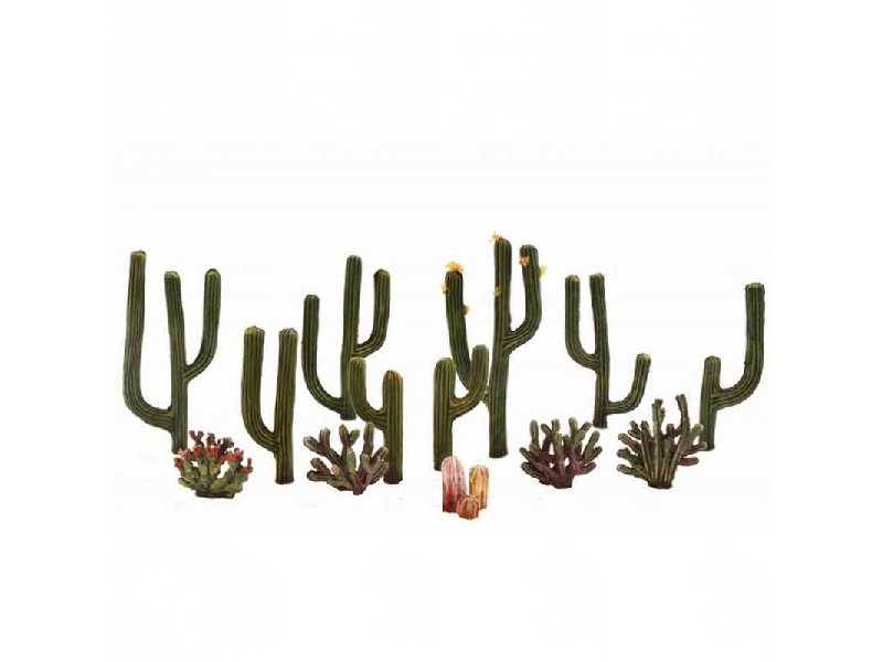 1/2 - 2 1/2 Classic Cactus Plants 1 (3 / Pk) - zdjęcie 1 1/2 - 2 1/2 Classic Cactus Plants 1 (3 / Pk) - zdjęcie 1