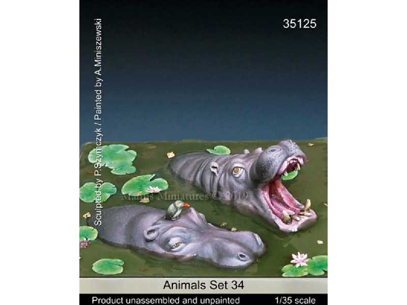 Animals Set 34 - zdjęcie 1