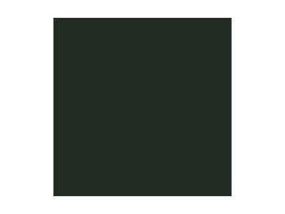 Farba Extra Opaque - Heavy Black Green - zdjęcie 1