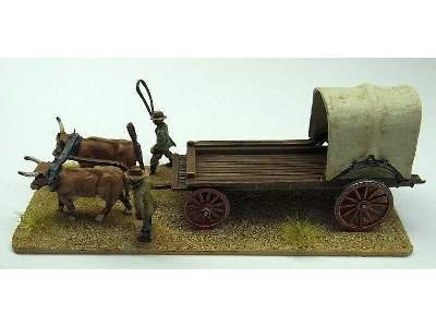 Colonial Ox Wagon - wóz kolonistów - zdjęcie 7
