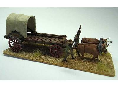 Colonial Ox Wagon - wóz kolonistów - zdjęcie 8