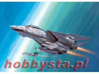 F-14D Super Tomcat - zestaw podarunkowy - zdjęcie 1
