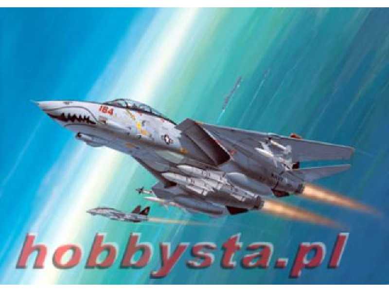 F-14D Super Tomcat - zestaw podarunkowy - zdjęcie 1