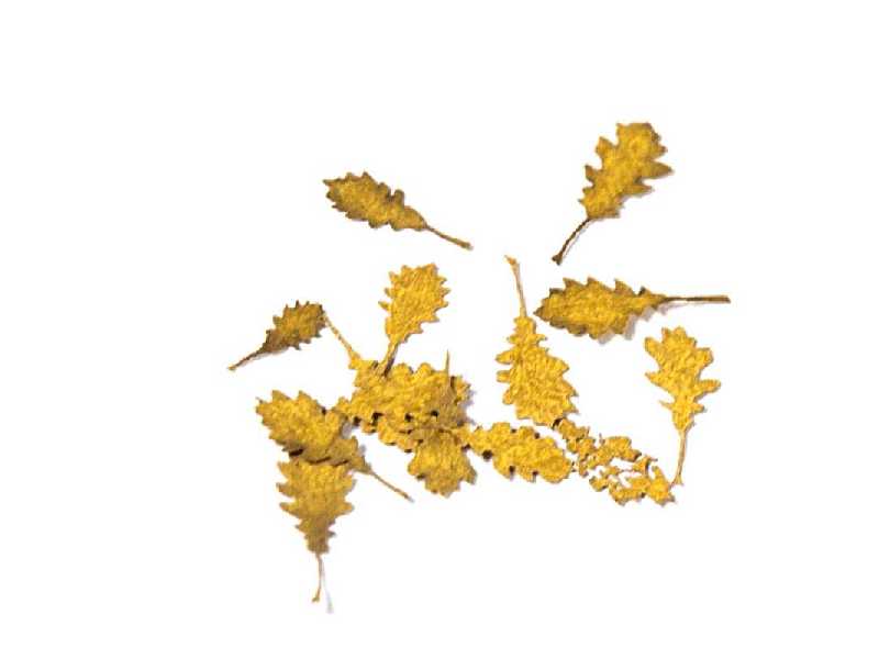 Oak Autumn - Dry Leaves - zdjęcie 1 Oak Autumn - Dry Leaves - zdjęcie 1