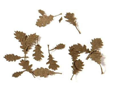 Oak Dry Leaves - Dry Leaves - zdjęcie 1