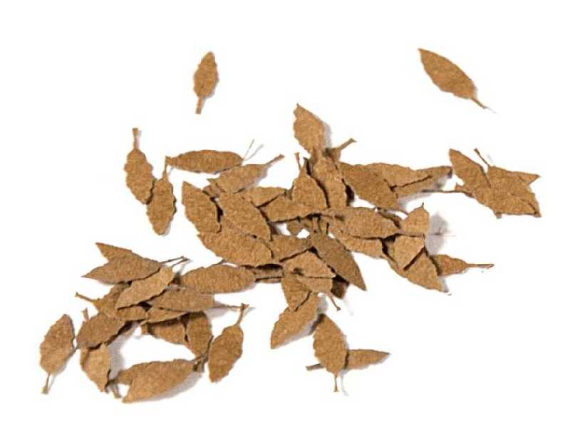Universal Dry Leaves - Dry Leaves - zdjęcie 1 Universal Dry Leaves - Dry Leaves - zdjęcie 1