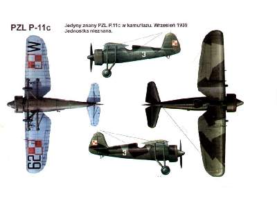 PZL P-11C Łaciata - Wrzesień 1939 - zdjęcie 2