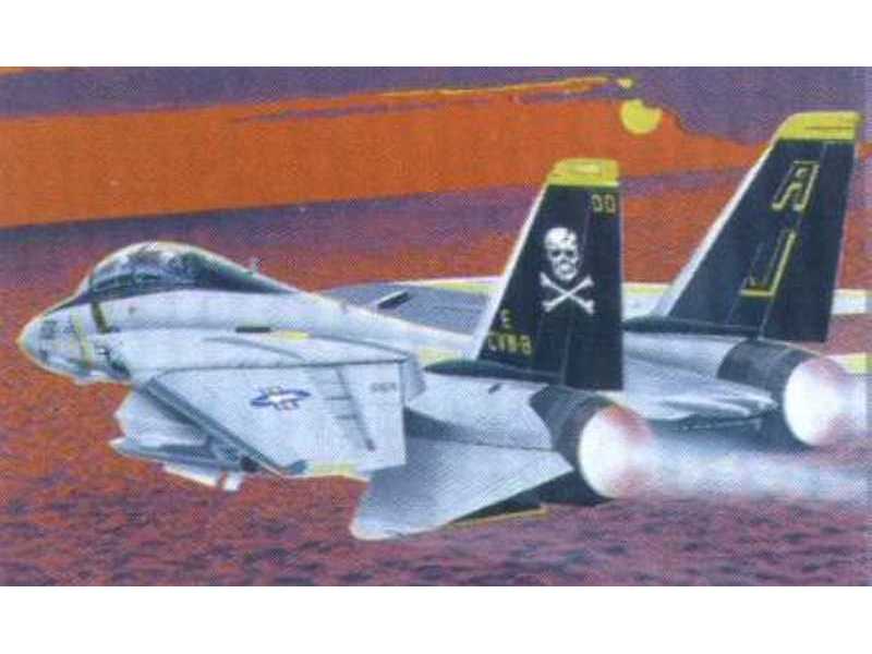 F-14 Tomcat - zdjęcie 1 F-14 Tomcat - zdjęcie 1