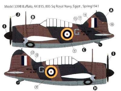 Brewster 339 B/C Buffalo - zdjęcie 4