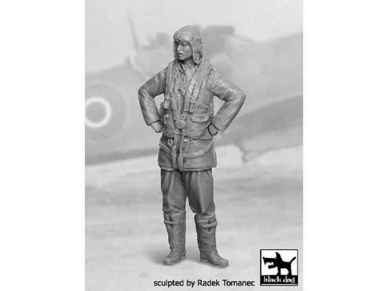 RAF Fighter Pilot 1940-45 N°2 - zdjęcie 1 RAF Fighter Pilot 1940-45 N°2 - zdjęcie 1