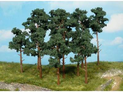 Drzewa - sosny - wys. 10-16 cm - 14 sztuk. - zdjęcie 1