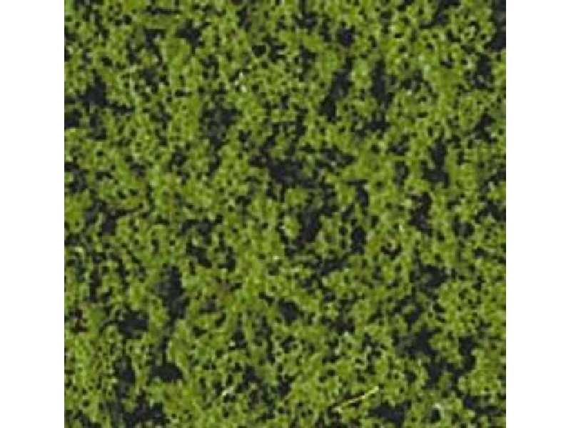 Listowie - zieleń - zdjęcie 1 Listowie - zieleń - zdjęcie 1