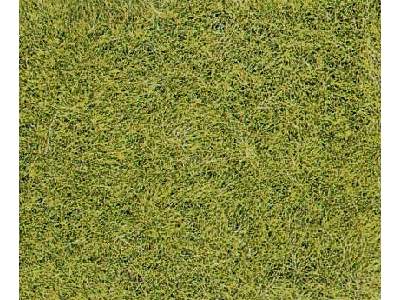 Roślinność na makietę - trawa dzika - zielona łąka - zdjęcie 1