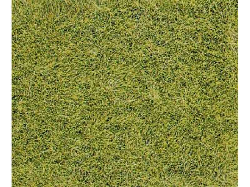 Roślinność na makietę - trawa dzika - zielona łąka - zdjęcie 1