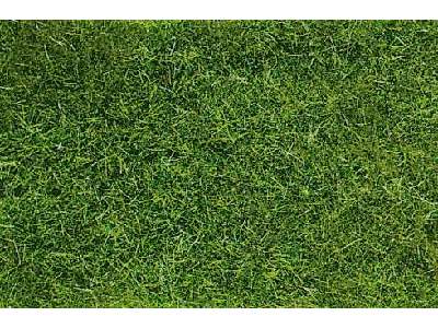 Roślinność na makietę - trawa dzika - ciemna zieleń - zdjęcie 1