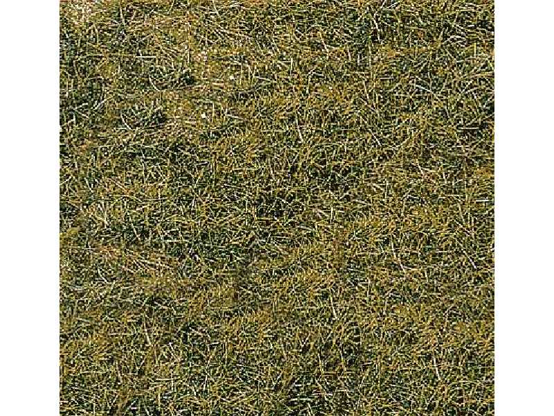 Roślinność na makietę - trawa dzika - łąka - zdjęcie 1