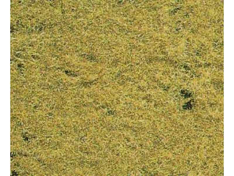 Roślinność na makietę - trawa jesienna - zdjęcie 1 Roślinność na makietę - trawa jesienna - zdjęcie 1