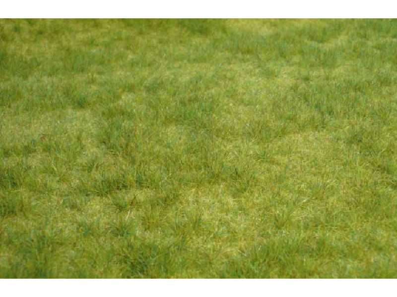 Mata dzika trawa wiosenna 45 x 17 cm - zdjęcie 1 Mata dzika trawa wiosenna 45 x 17 cm - zdjęcie 1