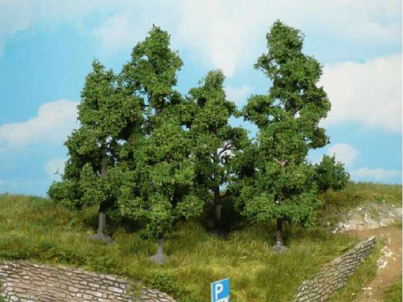 Drzewa owocowe - wys. 5-8 cm - 5 sztuk - zdjęcie 1 Drzewa owocowe - wys. 5-8 cm - 5 sztuk - zdjęcie 1