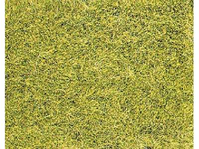Podsypka statyczna trawa dzika zielona - zdjęcie 1