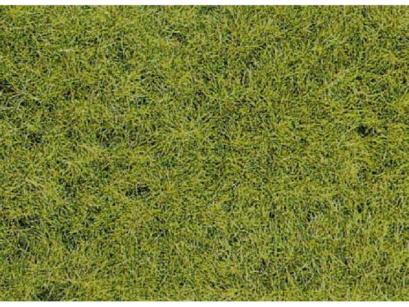 Podsypka statyczna trawa dzika leśna - zdjęcie 1