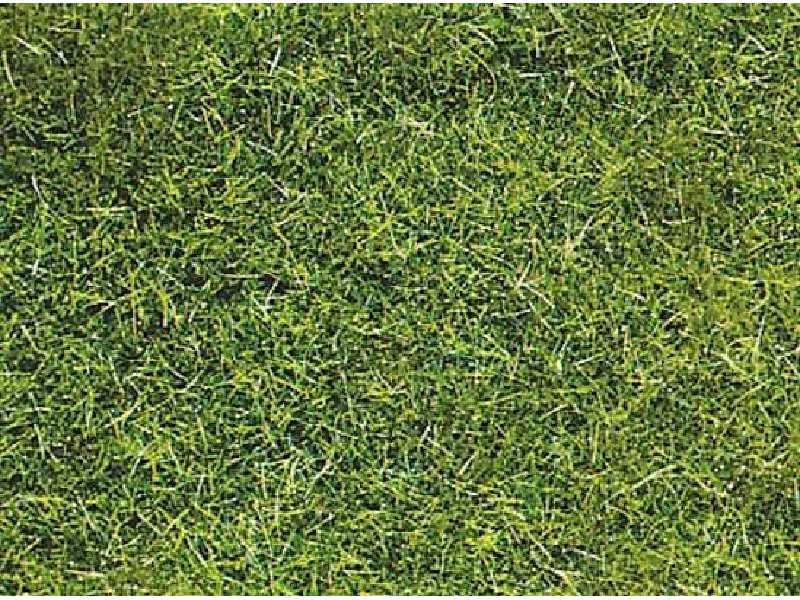Podsypka statyczna trawa dzika ciemnozielona 5-6 mm - zdjęcie 1 Podsypka statyczna trawa dzika ciemnozielona 5-6 mm - zdjęcie 1