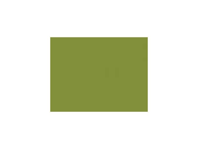 Farba Flat Light Green FS34230 - matowa - zdjęcie 1 Farba Flat Light Green FS34230 - matowa - zdjęcie 1