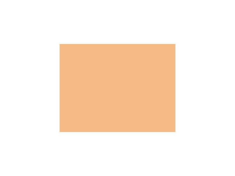 Farba Flat Skin Tone Tint Base - Light FS31575 - matowa - zdjęcie 1 Farba Flat Skin Tone Tint Base - Light FS31575 - matowa - zdjęcie 1