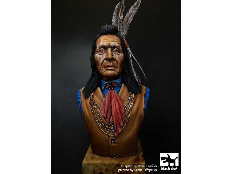 Sioux Dakota - zdjęcie 1 Sioux Dakota - zdjęcie 1