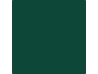 C383 Dark Green Kawanishi (Semi-gloss) - zdjęcie 1