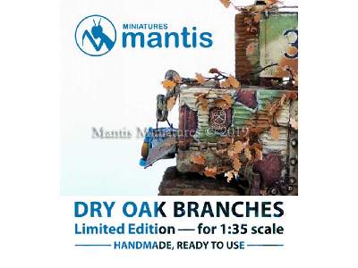 Dry Oak Branches - zdjęcie 1