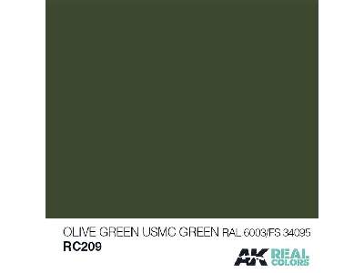 Rc209 Olive Green/Usmc Green RAL 6003/Fs34095 - zdjęcie 1