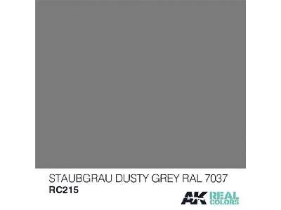 Rc215 Staubgrau-dusty Grey RAL 7037 - zdjęcie 1