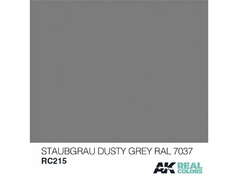 Rc215 Staubgrau-dusty Grey RAL 7037 - zdjęcie 1