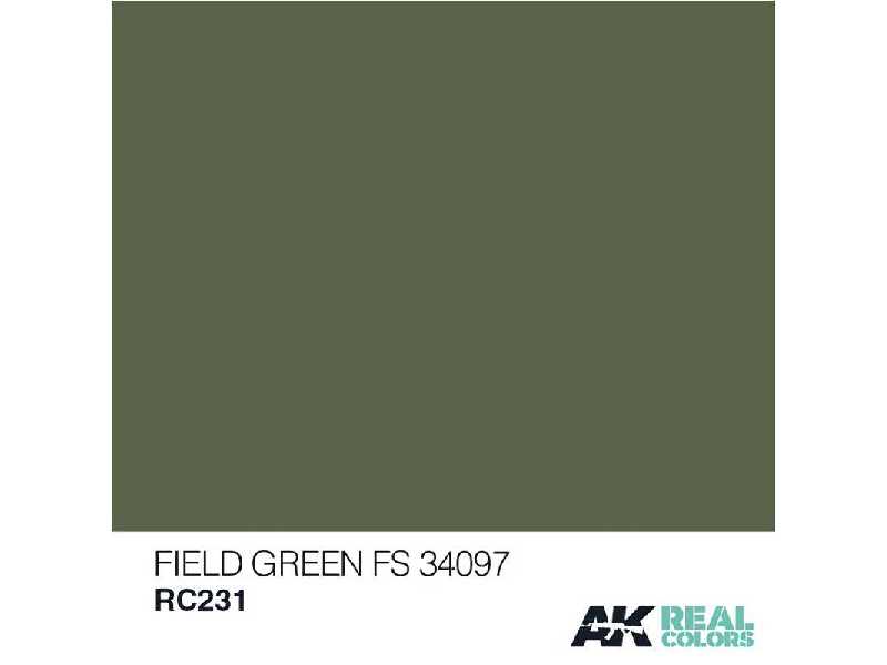 Rc231 Field Green FS 34097 - zdjęcie 1 Rc231 Field Green FS 34097 - zdjęcie 1