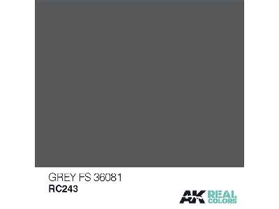 Rc243 Grey FS 36081 - zdjęcie 1