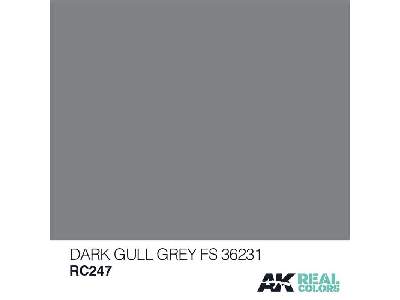 Rc247 Dark Gull Grey FS 36231 - zdjęcie 1