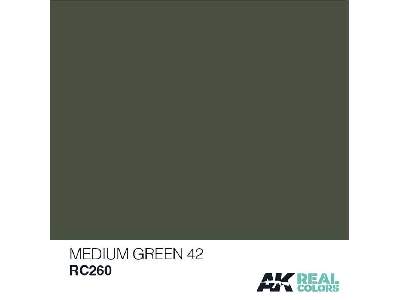 Rc260 Medium Green 42 - zdjęcie 1
