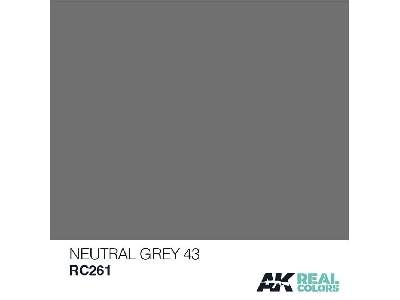 Rc261 Neutral Grey 43 - zdjęcie 1
