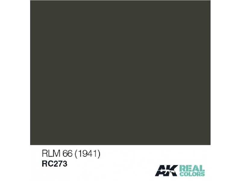 Rc273 RLM 66 - zdjęcie 1