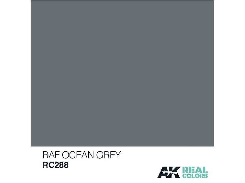 Rc288 RAF Ocean Grey - zdjęcie 1 Rc288 RAF Ocean Grey - zdjęcie 1