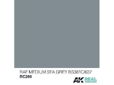 Rc289 RAF Medium Sea Grey Bs381c/637 - zdjęcie 1
