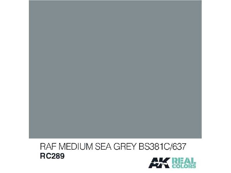 Rc289 RAF Medium Sea Grey Bs381c/637 - zdjęcie 1