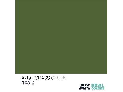 Rc312 A-19f Grass Green - zdjęcie 1