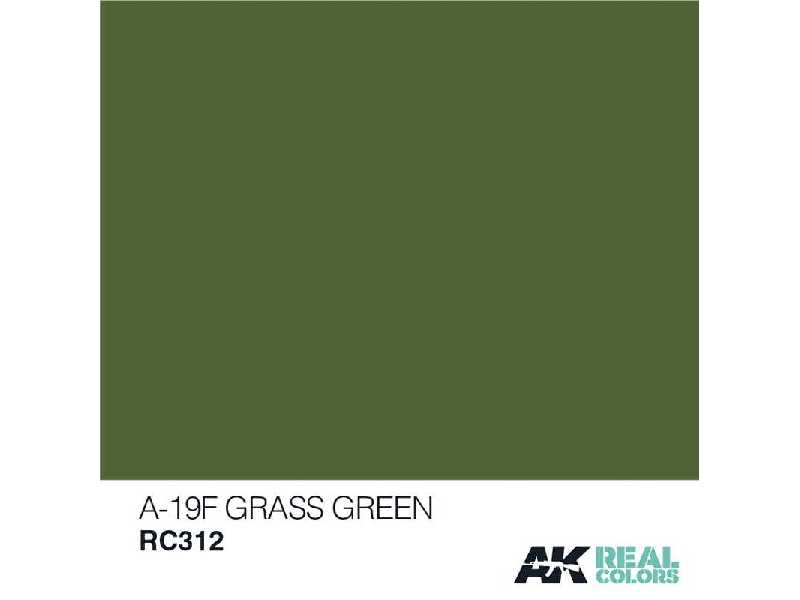 Rc312 A-19f Grass Green - zdjęcie 1