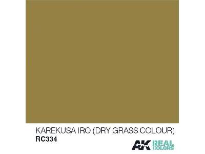 Rc334 Karekusa Iro (Dry Grass Colour) - zdjęcie 1