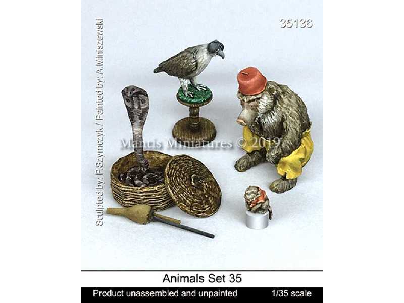 Animals Set 35 - zdjęcie 1