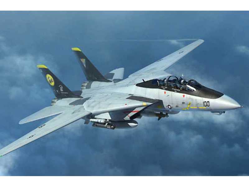 F-14d Tomcat - zdjęcie 1 F-14d Tomcat - zdjęcie 1