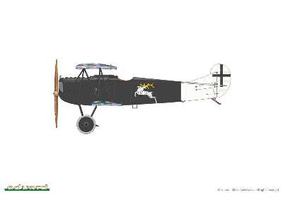 Fokker D. VII (Alb) - zdjęcie 7